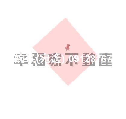 台南安定建地-1