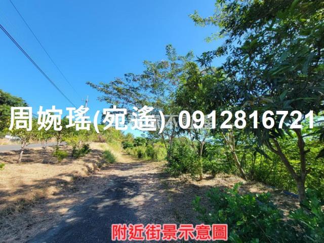 左鎮農地-14