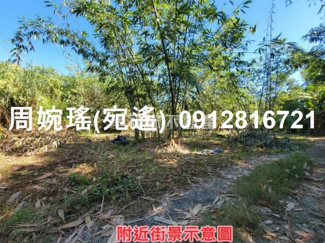 左鎮農地-3