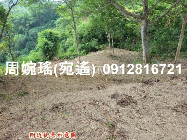 左鎮農地-9
