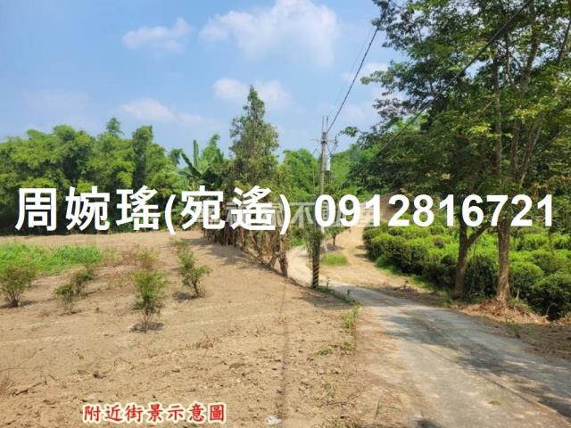 左鎮農地-2
